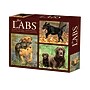 2026 Willow Creek Just Labs 6.2" x 5.4" Day-to-Day Calendar (54277)~#|#~23B42FAC-FE83-4C7C-95CDD5F11F1B4035_sc7