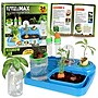 Be Amazing Science to the Max Regrow Science Lab (BAT2349)~#|#~23D486E4-DDA3-4636-82D5945AE692FFBD_sc7