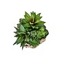 Monarch Specialties Inc. 9" Artificial Succulent Plant in Basket, 2/Set (I 9369)~#|#~23DF4F14-E8C6-4C99-ACD878FAC925C388_sc7