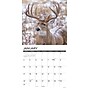 2027 Willow Creek Monster Bucks 12" x 12" Monthly Wall Calendar, Assorted Colors (61299)~#|#~23E33AE9-4225-47A0-A437376D66739D8C_sc7
