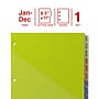 Staples Pre-Printed Monthly Plastic Dividers, 12 Tabs, Multicolor (ST63071)~#|#~23ED6CAF-79CC-4877-B607348BD35F6973_sc7