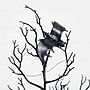 Nearly Natural Pre-Lit Artificial Halloween Black Spooky Twig Tree, 4' (T5232)~#|#~23F5758A-49F7-4EE0-9C1773D2C5A7EB02_sc7