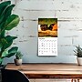 2027 BrownTrout Guinea Pigs 7" x 7" Monthly Wall Calendar, Assorted Colors (9798330709793)~#|#~241B92BB-3EBF-4C6C-8784E6DD3EA30C7D_sc7