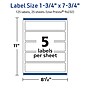 Avery TrueBlock Laser/Inkjet Rectangle Multipurpose Labels, 1.75" x 7.75", White, 125/Pack (94232)~#|#~242282A7-C364-45FA-9FFCEFEFE3B84409_sc7