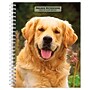 2027 BrownTrout Golden Retrievers 6.5" x 7.8" Calendar Year Weekly Standard Planner, Multicolor (9798330709502)~#|#~24353C6F-C5C2-43A1-926E0DD698C3D5BF_sc7
