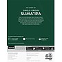 Starbucks Sumatra Coffee Keurig® K-Cup® Pods, Dark Roast, 24/Box (SBK22964)~#|#~245C4511-FB86-41F9-B97C275E216A2BB8_sc7