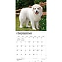 2027 BrownTrout Great Pyrenees 12" x 12" Monthly Wall Calendar (9798330712496)~#|#~246303C7-7F31-4133-89510958EE150D74_sc7