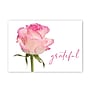 Great Papers Grateful Pink Rose General Use Thank You Notecard Kits, Multicolored, 24/Pack (2025029)~#|#~246CAE8B-766E-404A-9A4CB3E43C98344A_sc7