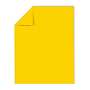 Astrobrights 8.5" x 11" Color Copy Paper, 24 lbs. Solar Yellow, 500 Sheets/Ream (22531/21538)~#|#~2476E069-B5FC-4834-8BDFF1AD5746C463_sc7