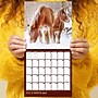 2027 TF Publishing Horses 7" x 7" Monthly Wall Calendar, Multicolored (27-2001)~#|#~24842740-28A8-42ED-B90034178B6F2B1D_sc7