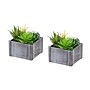 Monarch Specialties Inc. 8" Artificial Succulent Plant in Pot, 2/Set (I 9370)~#|#~248B95A7-2B63-4ADF-A5E0CF76B3A12283_sc7