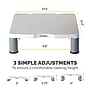 Fellowes Standard Adjustable Monitor Riser, Up to 17" Monitor, Platinum (91712)~#|#~24903E97-E347-41F4-9A86DE02E01F2678_sc7