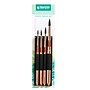 Princeton Neptune Watercolor Synthetic Brush Set, 4/Pack (PBXP4750TRSET)~#|#~2493B2EB-6A6F-4130-8B2A2765088F9638_sc7