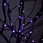 Nearly Natural 6' Pre-Lit Halloween Deluxe Black Twig Artificial Fall Tree with 156 Orange and Purple LED Lights (T4759)~#|#~8642EFEB-DD8E-4A1C-854A5643E1EBFC68_sc7