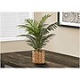 Monarch Specialties Inc. Palm in Basket (I 9503)~#|#~24BA1691-1CC0-4CE1-A597261F1E590675_sc7