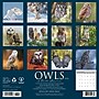 2026 Willow Creek Owls 12" x 12" Monthly Wall Calendar (52266)~#|#~24BFC059-F594-479A-A2CAF87316C59B47_sc7