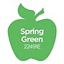 Apple Barrel Acrylic Paint Matte, 16oz., Spring Green, 3/Pack(APP22491E-3)~#|#~24C577EF-EEA3-4EA1-9A793D97B1A89253_sc7