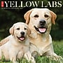 2027 Willow Creek Yellow Labs 12" x 12" Monthly Wall Calendar, Assorted Colors (63095)~#|#~24CEDB3D-9B3C-4A7A-B9F2B085E21D41EE_sc7