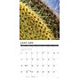 2026 Willow Creek Cactus 12" x 12" Monthly Wall Calendar (50477)~#|#~24D3529B-9A6B-4DBF-9E8200A9C2D20C43_sc7