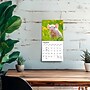 2027 BrownTrout Piglets 7" x 7" Monthly Wall Calendar (9798330709816)~#|#~24E45527-2623-4F83-80001D2F0E4330A6_sc7