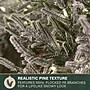 Fraser Hill Farm 9' Real Feel Pre-Lit Artificial Christmas Garland (FFRF108G-5MSN)~#|#~25003F68-7659-450D-B106AA9FDF5A31CB_sc7