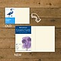 Strathmore Creative Cards & Envelopes, 5" x 6.875", Ivory, 50 Sheets/Pack (STTP1052351)~#|#~2527636A-9697-431B-A6D3AB9AE38680BA_sc7