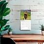 2026 BrownTrout Boxer Puppies 7" x 7" Monthly Wall Calendar (9798330702619)~#|#~252956F8-338A-42CC-BC17876F9BD3C3CC_sc7