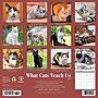 2026 Willow Creek What Cats Teach Us 12" x 12" Monthly Wall Calendar (53157)~#|#~253085AC-95FF-4B5D-931C5963CA026E18_sc7
