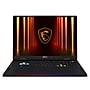 MSI Raider A18 HX 18" UHD+ 120Hz Gaming Laptop, AMD Ryzen 9-9955HX3D, NVIDIA RTX 5080, 64GB RAM, 2TB SSD, Windows 11 Pro~#|#~2538968C-D584-4C8D-B9029017C914A2A7_sc7