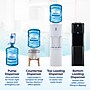 Primo Water Top Loading Classic Hot and Cold Water Dispenser (601130-C)~#|#~25498F2E-4F5F-4AC0-90C02ADE71FF8B01_sc7