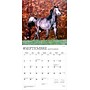 2026 BrownTrout Chevaux 12" x 12" Monthly Wall Calendar (9798330707362)~#|#~254B9370-720A-4E80-A2C803F53C6A473E_sc7