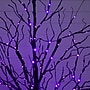 Nearly Natural Pre-Lit Halloween Black Twig Artificial Tree, 5' (T5167)~#|#~25556D11-3A54-4CD0-A2349F8E6B7D1BEA_sc7