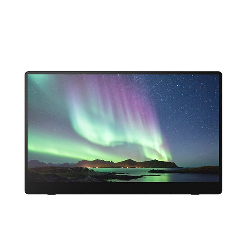 Ricoh 15.6" 1920 x 1080 OLED Portable Display Monitor (514910) image 1