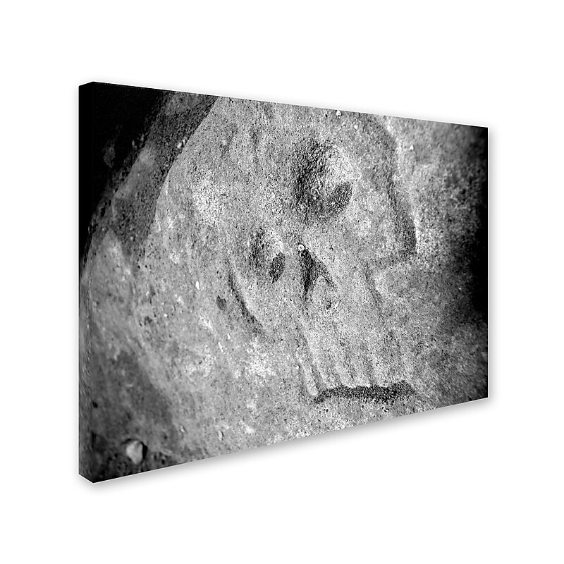 Trademark Monica Fleet "Rebellious" Gallery-Wrapped Canvas Art, 18" x 24" image 1