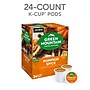 Green Mountain Pumpkin Spice Coffee Keurig K-Cup Pods, Light Roast, 24/Box (5000368942)~#|#~259809A7-44AB-4DD3-A0AF1657C50F670A_sc7