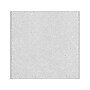 Armstrong DUNE Square Lay-In Edge Ceiling Tile, 24" x 24", White, 16/Carton (BP1772)~#|#~25B25D2A-D345-4680-AD69A52ACE7513DF_sc7