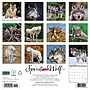 2027 Willow Creek Spirit of the Wolf 12" x 12" Monthly Wall Calendar, Assorted Colors (62456)~#|#~25C408C5-57B6-4085-BFD12EAD90732129_sc7