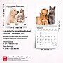 2027 BrownTrout Kittens & Puppies 7" x 7" Monthly Wall Calendar (9798330709724)~#|#~25C92D85-7B94-4CAE-96D6D00F58C48D29_sc7