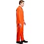 Party City Rubies Jailbird Costume, Adult, One Size(F54105-OS-STP)~#|#~25CF7776-1D7A-4AC0-8E086B5F8BA32796_sc7