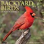 2026 Willow Creek Backyard Birds 12" x 12" Monthly Wall Calendar (50026X)~#|#~25E077CE-B0D9-4F0E-B4F7C07D96BA0854_sc7