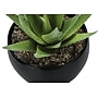 Monarch Specialties Inc. 6" Artificial Succulent Plants, 3/Set (I 9556)~#|#~25EDB399-5E5C-4033-BA40FC24F4060BF4_sc7