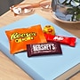 Hershey's Kit Kat & Reese's Miniatures Assorted Chocolate Candy Party Pack, 24.8 oz. (246-00013)~#|#~260195FF-7B07-4E29-A256264FC70F0D21_sc7