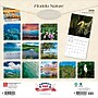 2026 BrownTrout Florida Nature 12" x 12" Monthly Wall Calendar (9798330703265)~#|#~260FED7D-365D-4CD1-9B6B914C0E590349_sc7