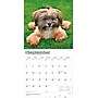 2026 BrownTrout Shih Tzu 12" x 12" Monthly Wall Calendar (9798330705535)~#|#~261E614D-FC08-4131-9B743CE7F03D2131_sc7