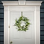 National Tree Company 22" Ivy and Eggs Easter Wreath (RAE-KSD20A204)~#|#~262880BB-9D34-4601-A889E37A00560C70_sc7