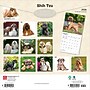 2026 BrownTrout Shih Tzu 12" x 12" Monthly Wall Calendar (9798330705535)~#|#~26400871-8C51-42AB-B0C8A3C8793FCADD_sc7