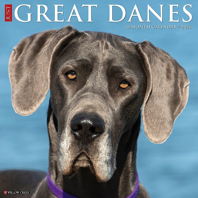 2026 Willow Creek Great Danes 12" x 12" Monthly Wall Calendar (51351) image 1