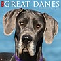 2026 Willow Creek Great Danes 12" x 12" Monthly Wall Calendar (51351)~#|#~2647C53E-1427-432A-81F8BA2D1FBED74A_sc7