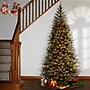 National Tree Company Aspen Spruce Artificial Christmas Trees (AP7-300-60)~#|#~2666E7FB-7EBA-4084-89196284B4A55EA0_sc7