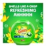 Gain Flings HE Laundry Detergent Capsules, Original Scent, 56 oz., 76 Capsules (09485)~#|#~267098BA-ACCB-49D0-90366C8BF6469DF7_sc7